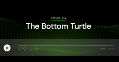 The Bottom Turtle